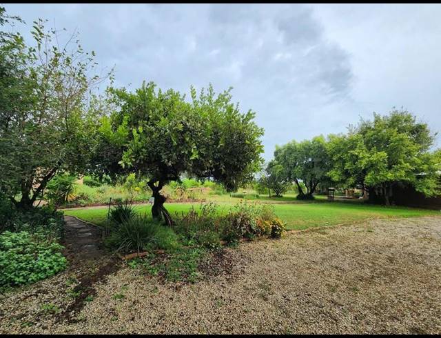 FARM FOR SALE IN GROENFONTEIN